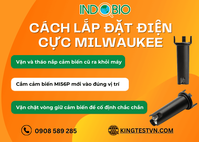 Cách lắp đặt điện cực thay thế MI56P